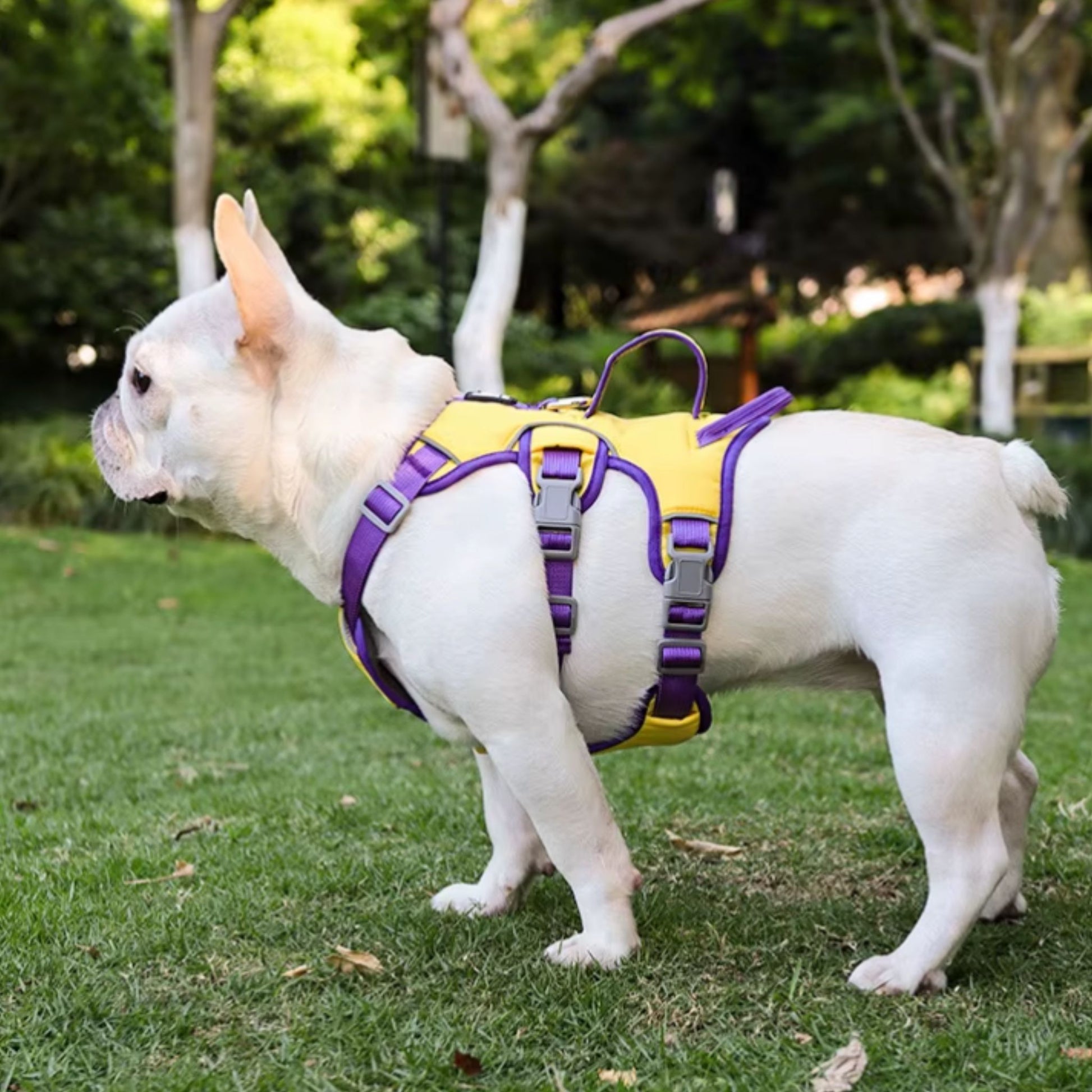 Yellow reflective adjustable dog harness by TrendyPet's Zone, no-pull design, breathable for small to large dogs, ideal for outdoor walks.
