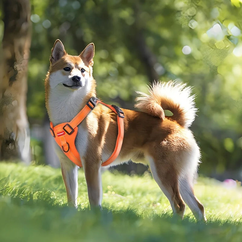 Orange soft no-pull dog harness with adjustable straps and easy control handle by TrendyPet's Zone, designed for comfortable walking.