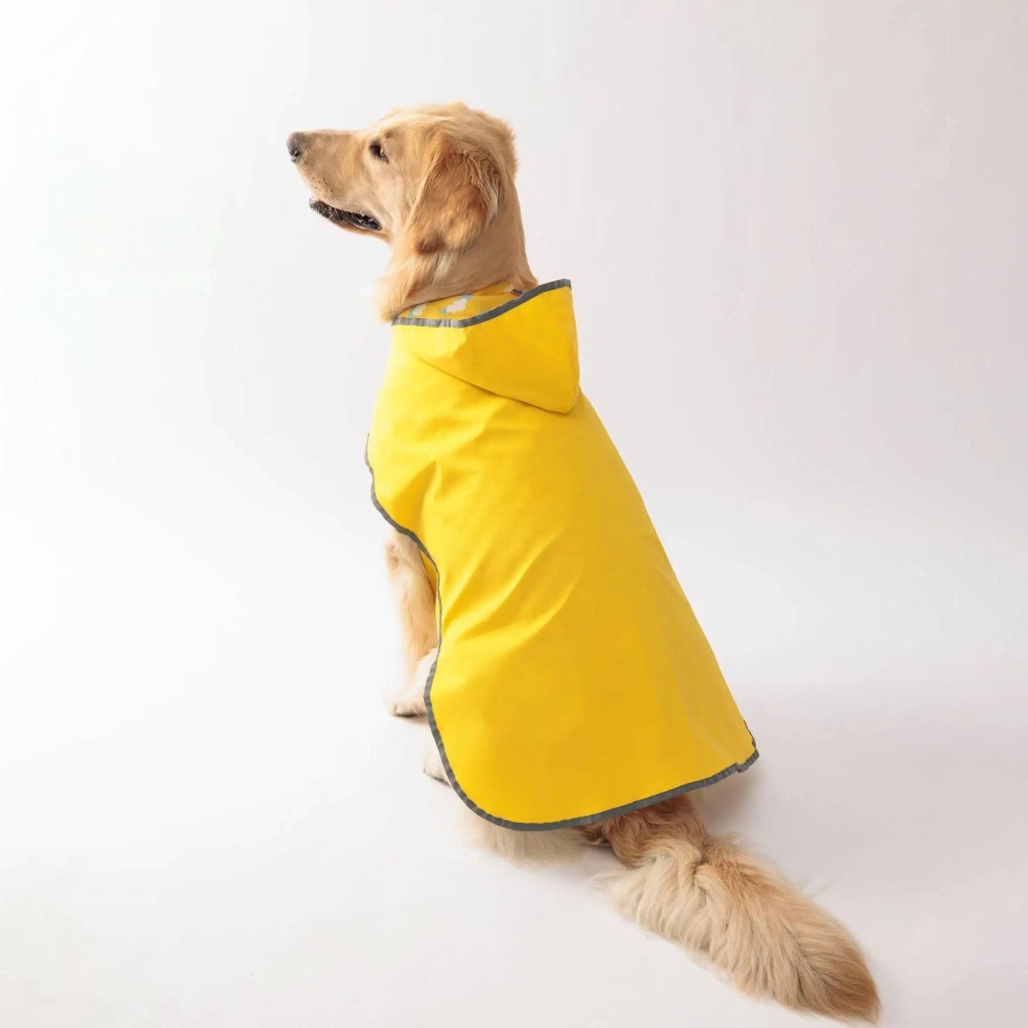 Yellow waterproof dog raincoat by TrendyPet's Zone with quick-adjust dual-sided design for all weather conditions.