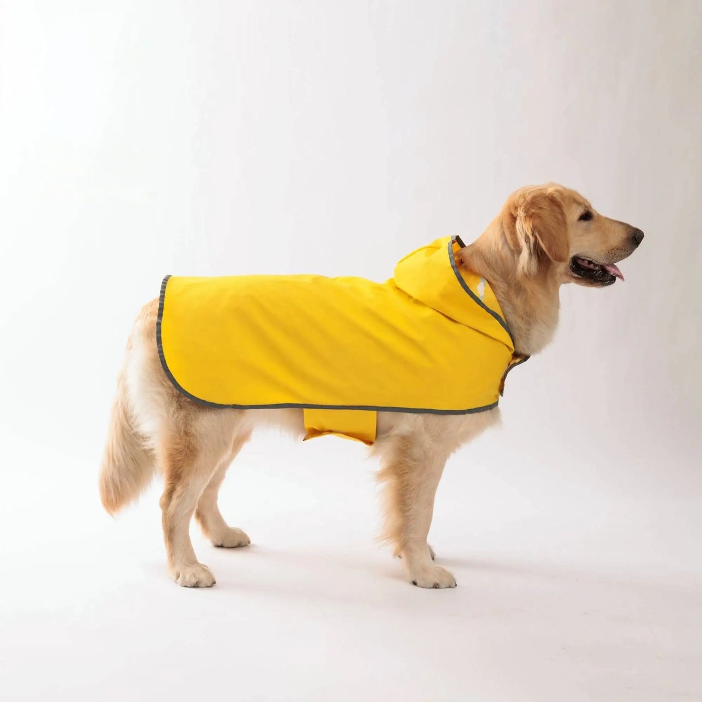 Yellow waterproof dog raincoat by TrendyPet's Zone with quick-adjust dual-sided design, suitable for all weather conditions.