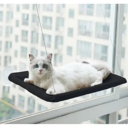 Black Hanging Cat Bed Pet Cat Hammock Aerial Cats Bed House Kitten Climbing Frame Sunny Window Seat Nest Bearing 20kg Pet Accessories TRENDYPET'S ZONE