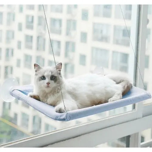 Blue Hanging Cat Bed Pet Cat Hammock Aerial Cats Bed House Kitten Climbing Frame Sunny Window Seat Nest Bearing 20kg Pet Accessories TRENDYPET'S ZONE