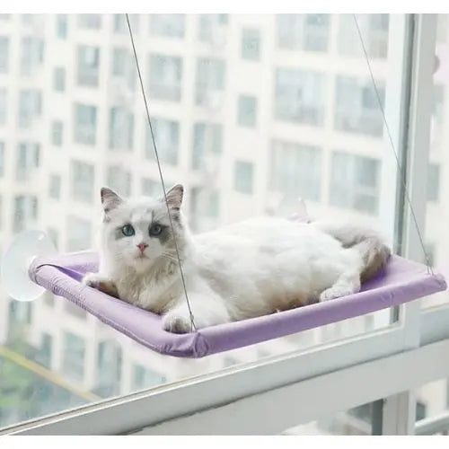 Purple Hanging Cat Bed Pet Cat Hammock Aerial Cats Bed House Kitten Climbing Frame Sunny Window Seat Nest Bearing 20kg Pet Accessories TRENDYPET'S ZONE