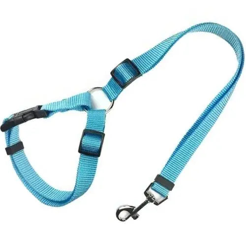 SkyBlue Solid Color Two-in-one Pet Car Seat Belt Nylon Lead Leash Backseat Safety Belt Adjustable Dogs Harness Collar Pet Accessories TRENDYPET'S ZONE