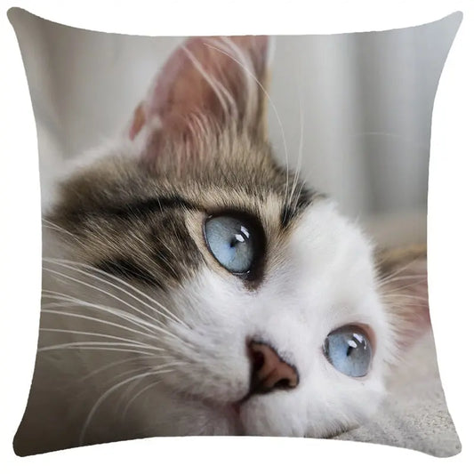 Sleeping Bubble Black Cat Animal Cushion Cover Cute Pet Cat Pillowcase Sofa Living Room Home Decor Pillowcase TRENDYPET'S ZONE
